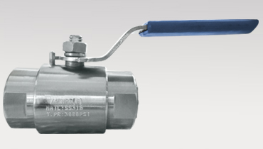 Needle Valves and Ball Valves